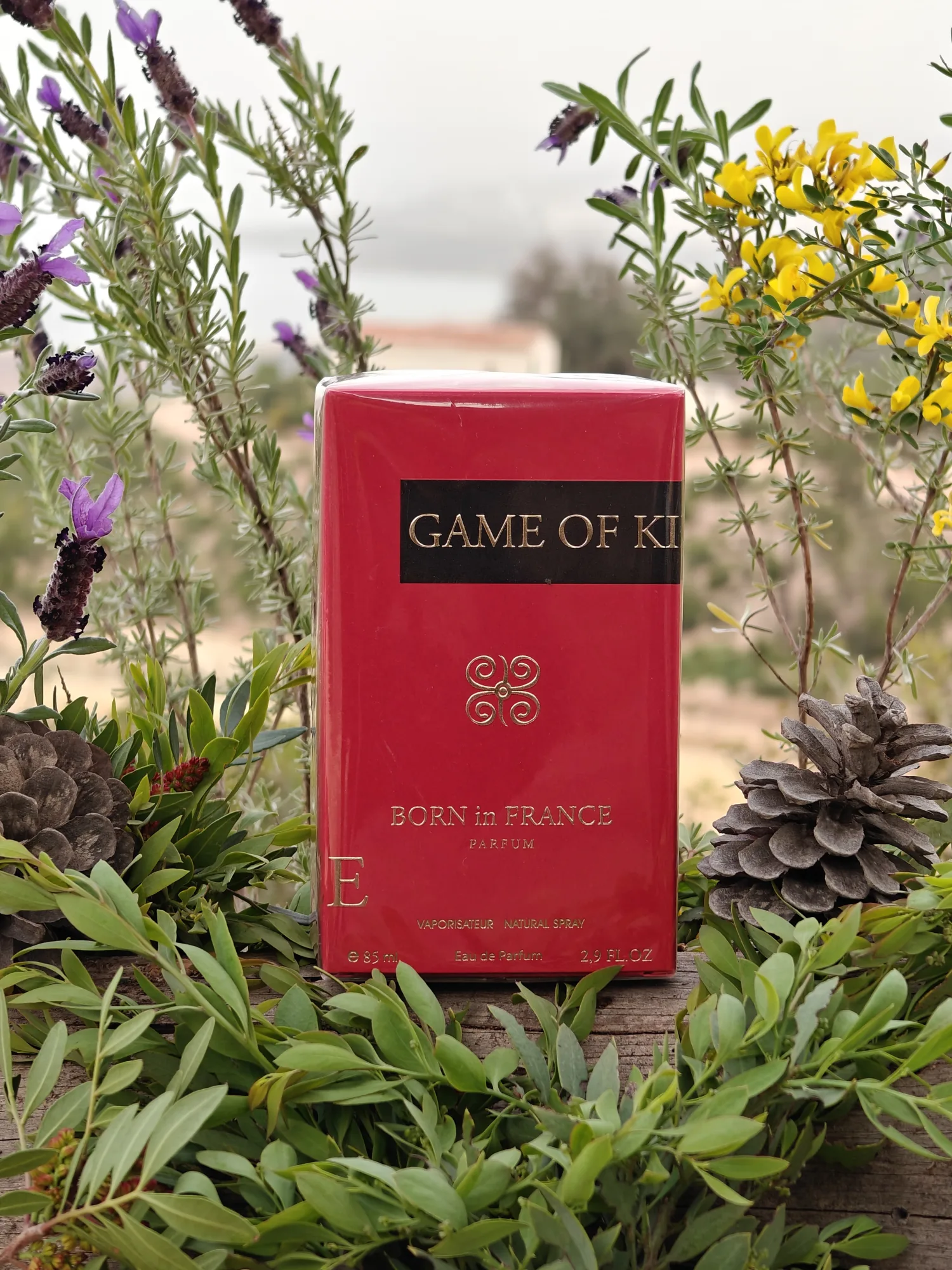 Parfum OSLO BLUE et GAME OF KING