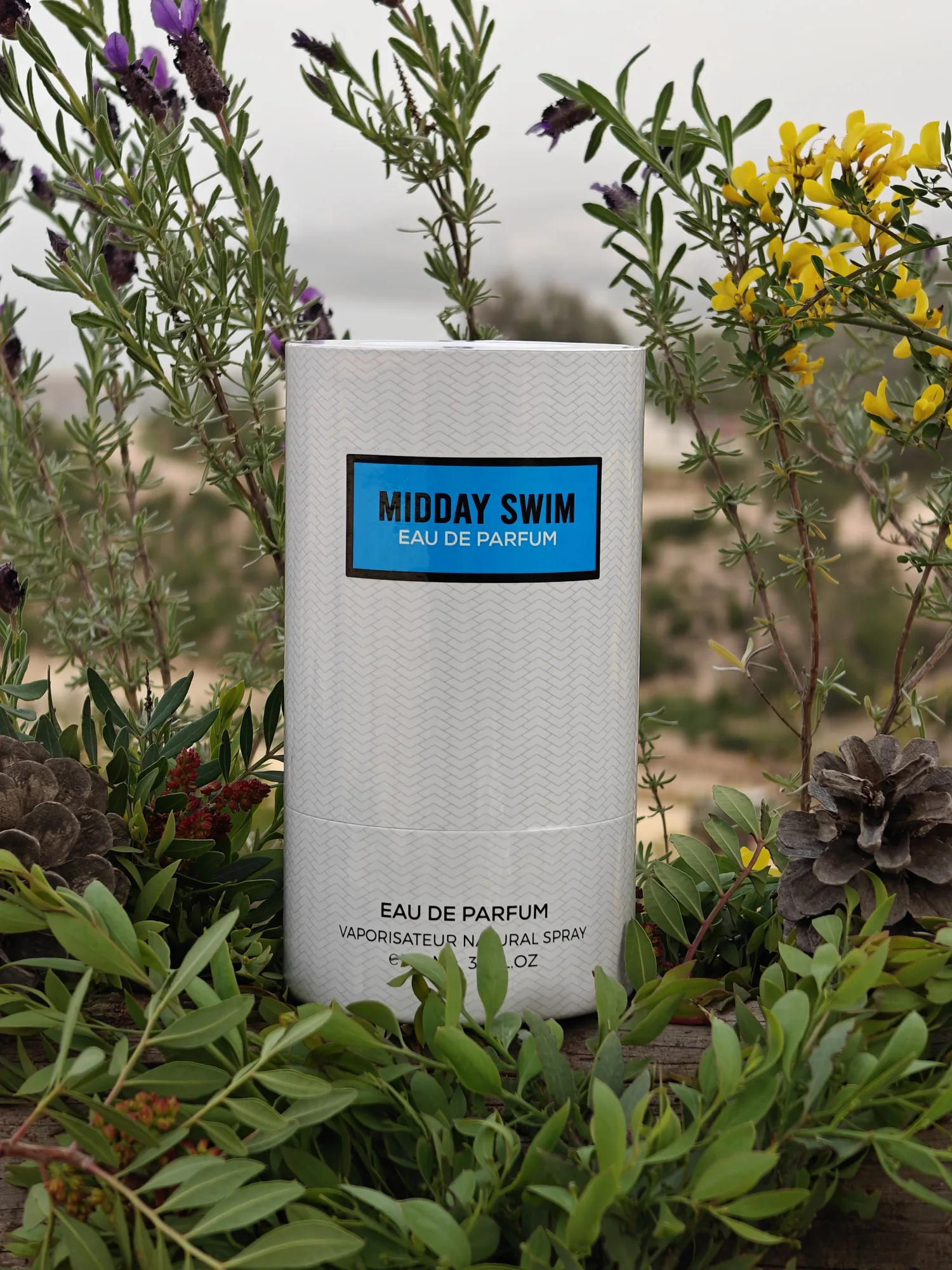 Collection EMPER UAE