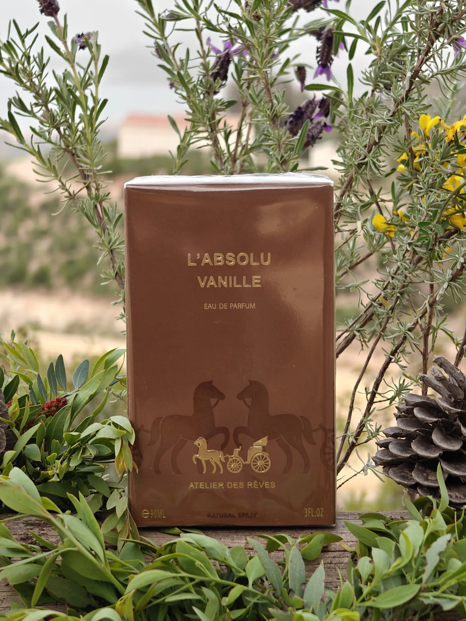 Parfums de la maison GEPARLYS